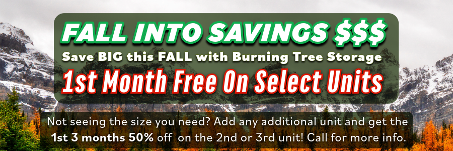 Promo Banner