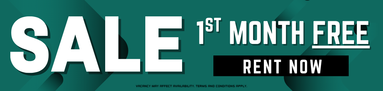 Promo Banner