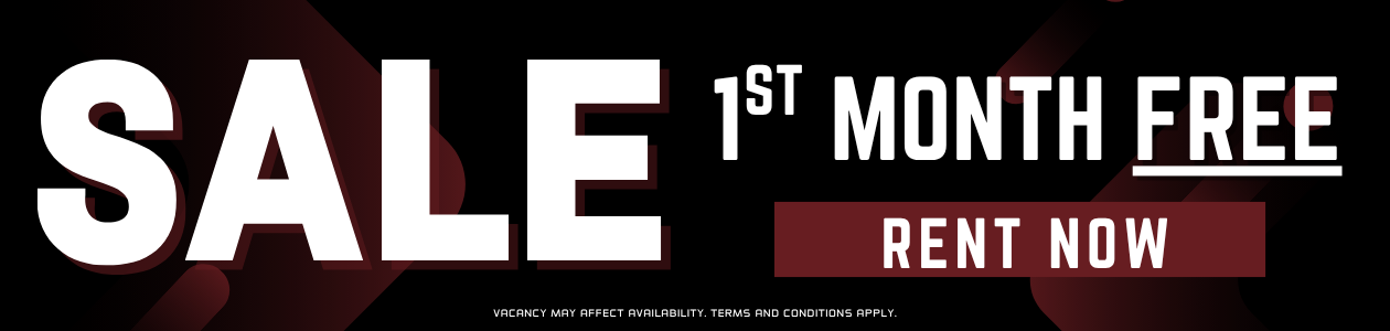 Promo Banner