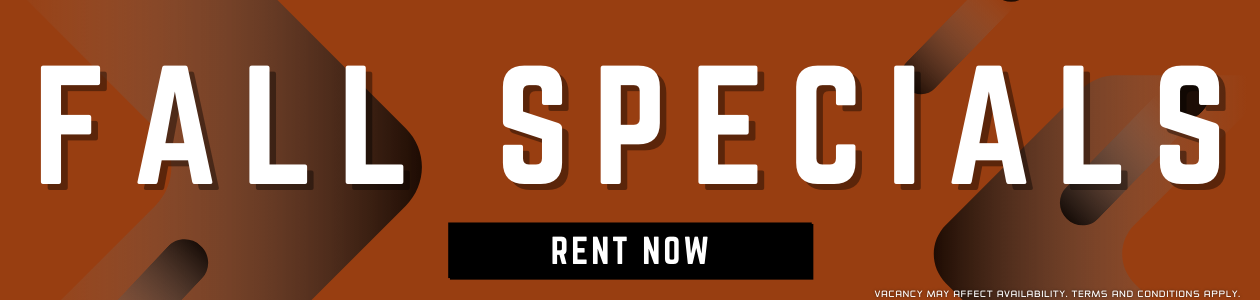 Promo Banner
