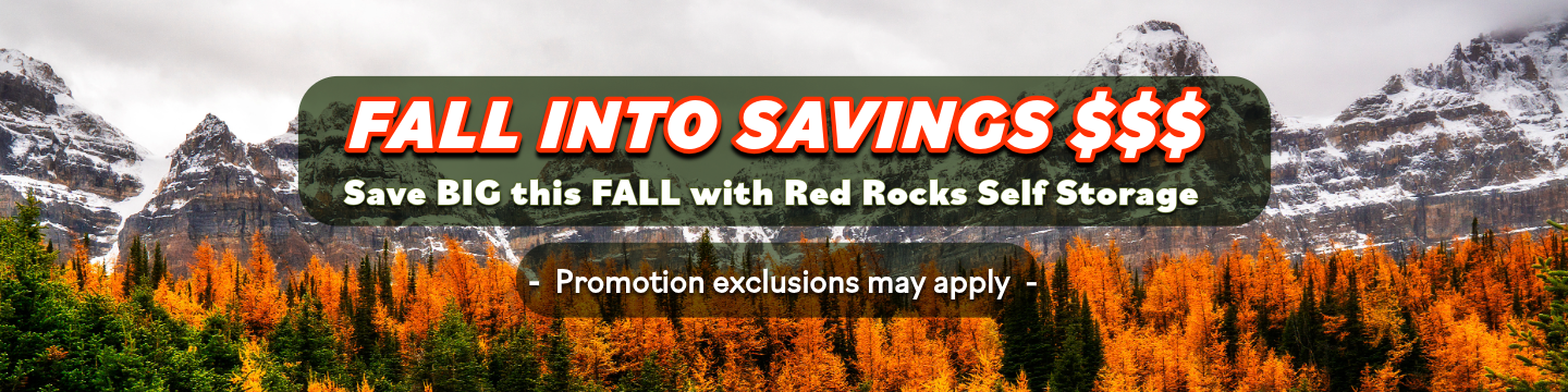 Promo Banner