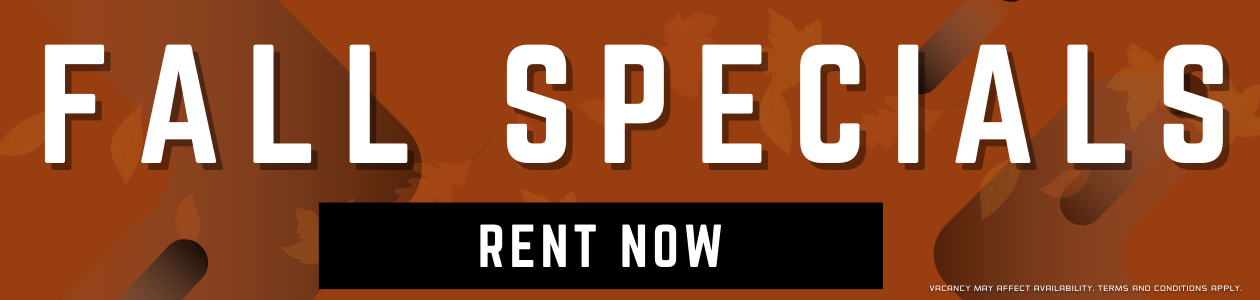 Promo Banner