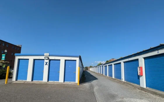 buffalo street