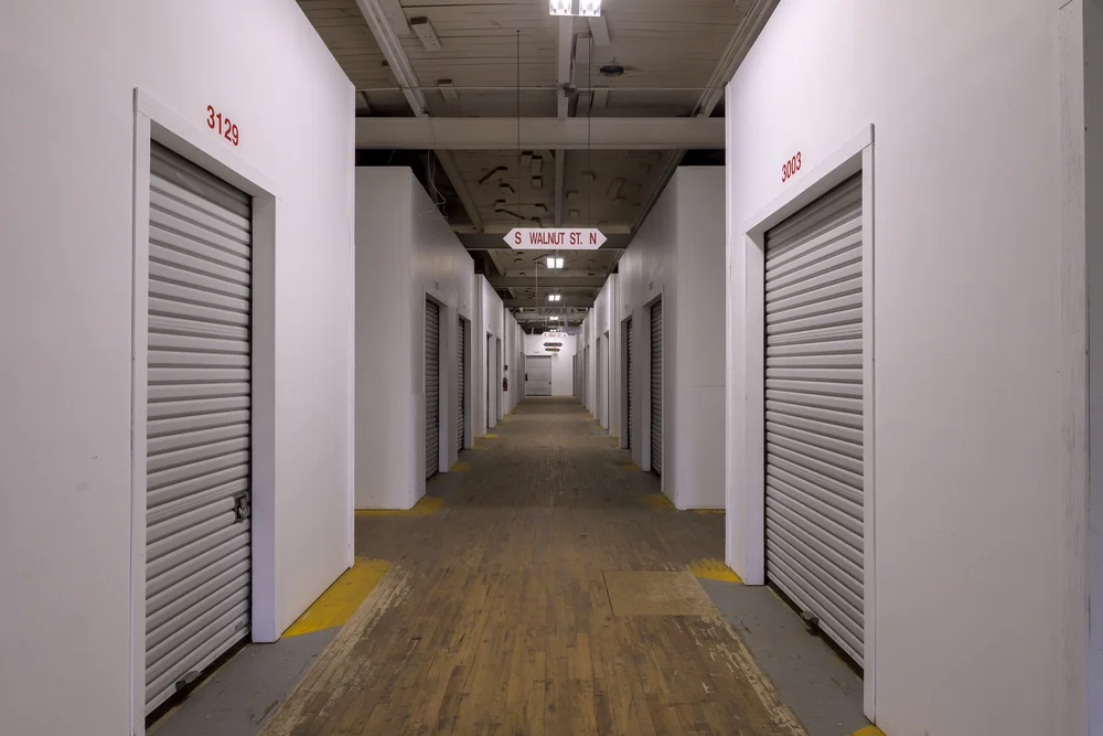 self storage units crown point